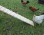 Preview: Hühnerleiter aus Holz, 75 oder 115cm lang, 18cm breit, Hühnertreppe, Hühnerrampe