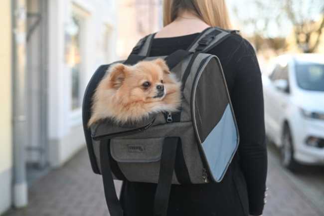 Hunderucksack zum Wandern Vacation für kleine Hunde, auch als Transporttsche nutzbar